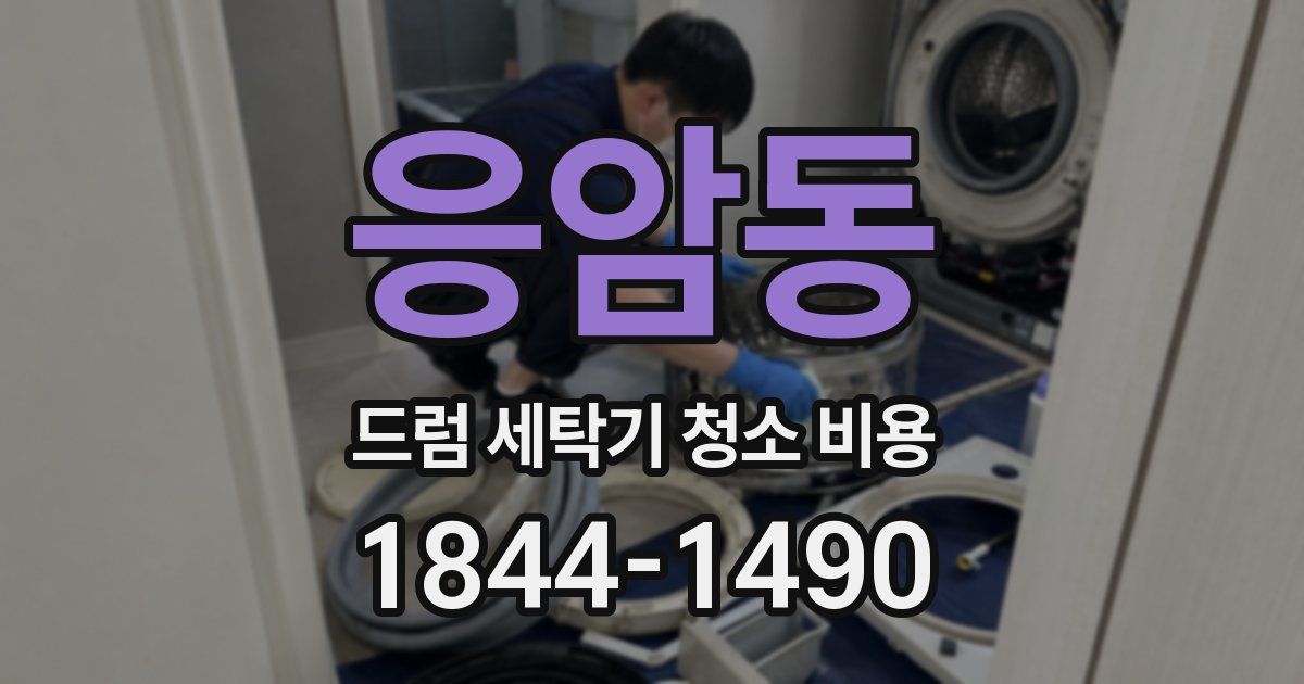 응암동 드럼 세탁기 청소 비용