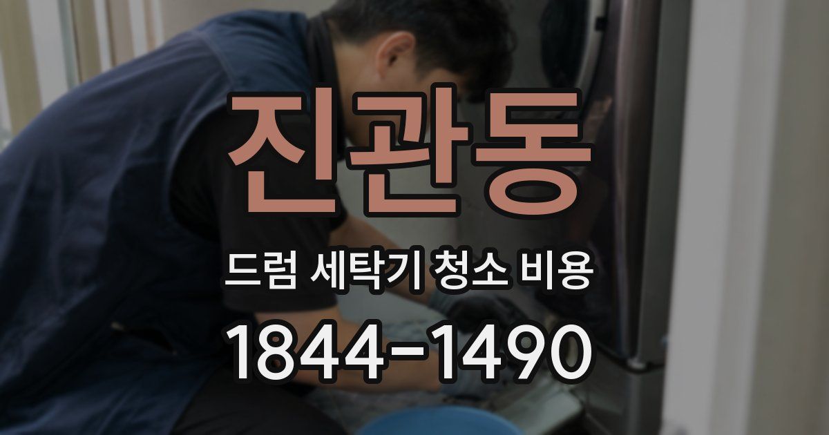 진관동 드럼 세탁기 청소 비용