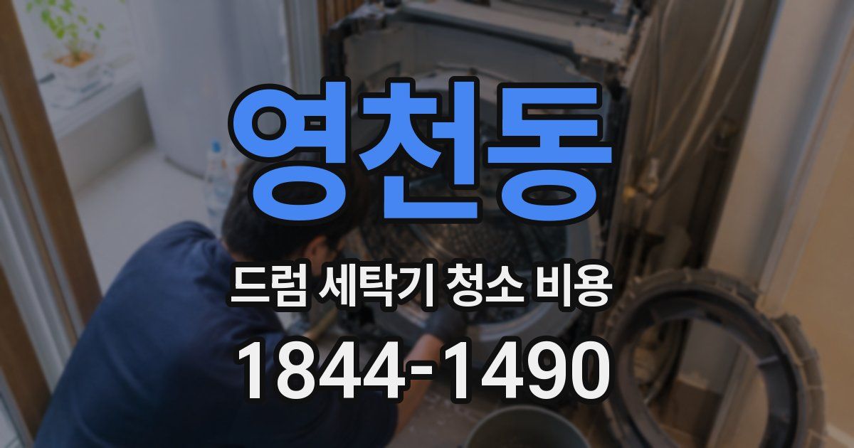 영천동 드럼 세탁기 청소 비용
