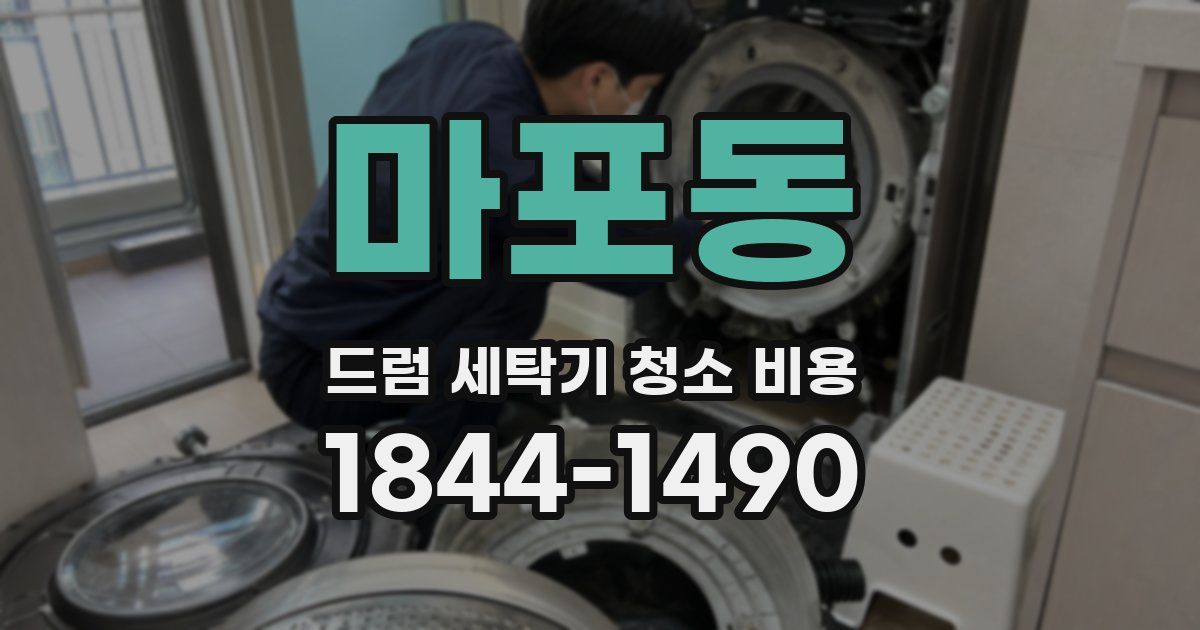 마포동 드럼 세탁기 청소 비용
