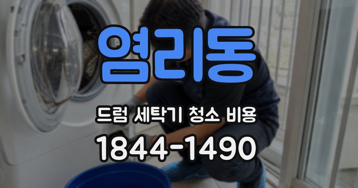 염리동 드럼 세탁기 청소 비용
