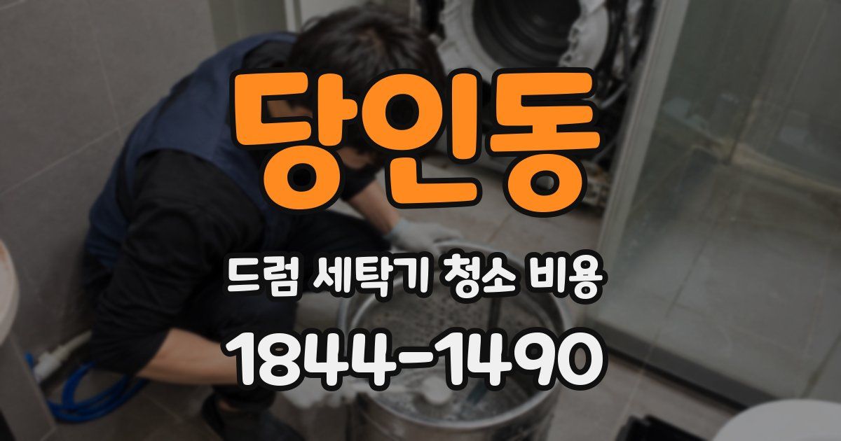 당인동 드럼 세탁기 청소 비용