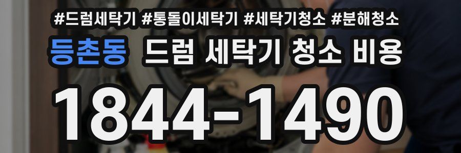 등촌동 드럼 세탁기 청소 비용