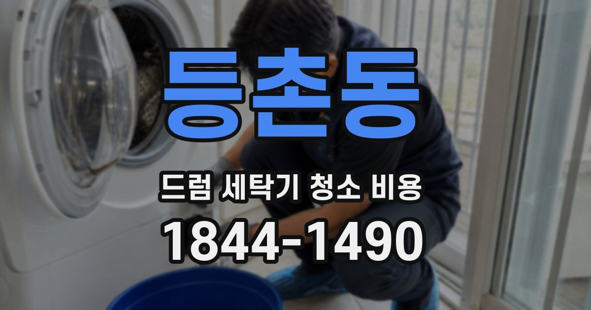등촌동 드럼 세탁기 청소 비용