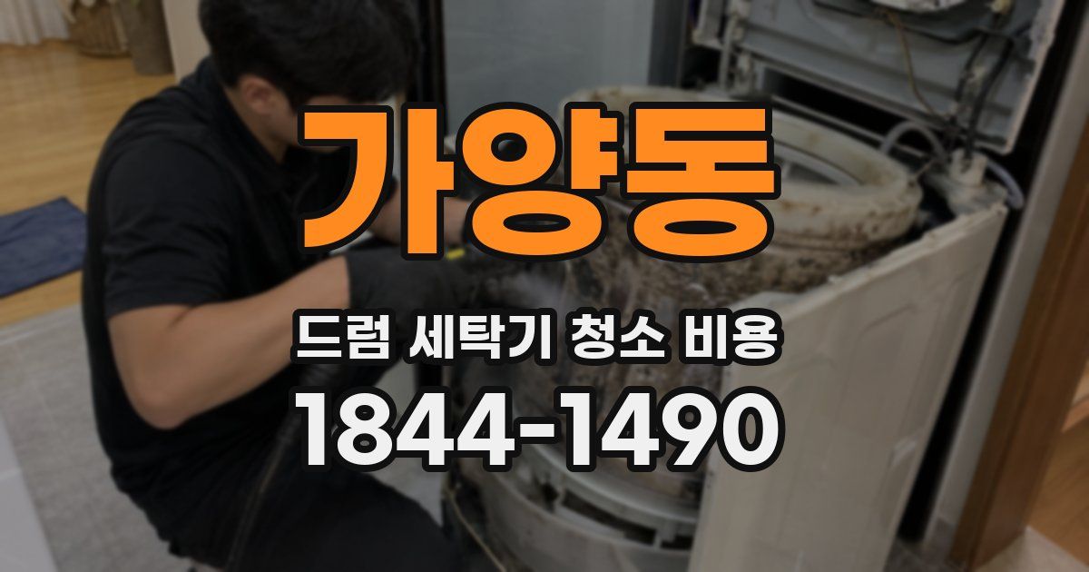가양동 드럼 세탁기 청소 비용