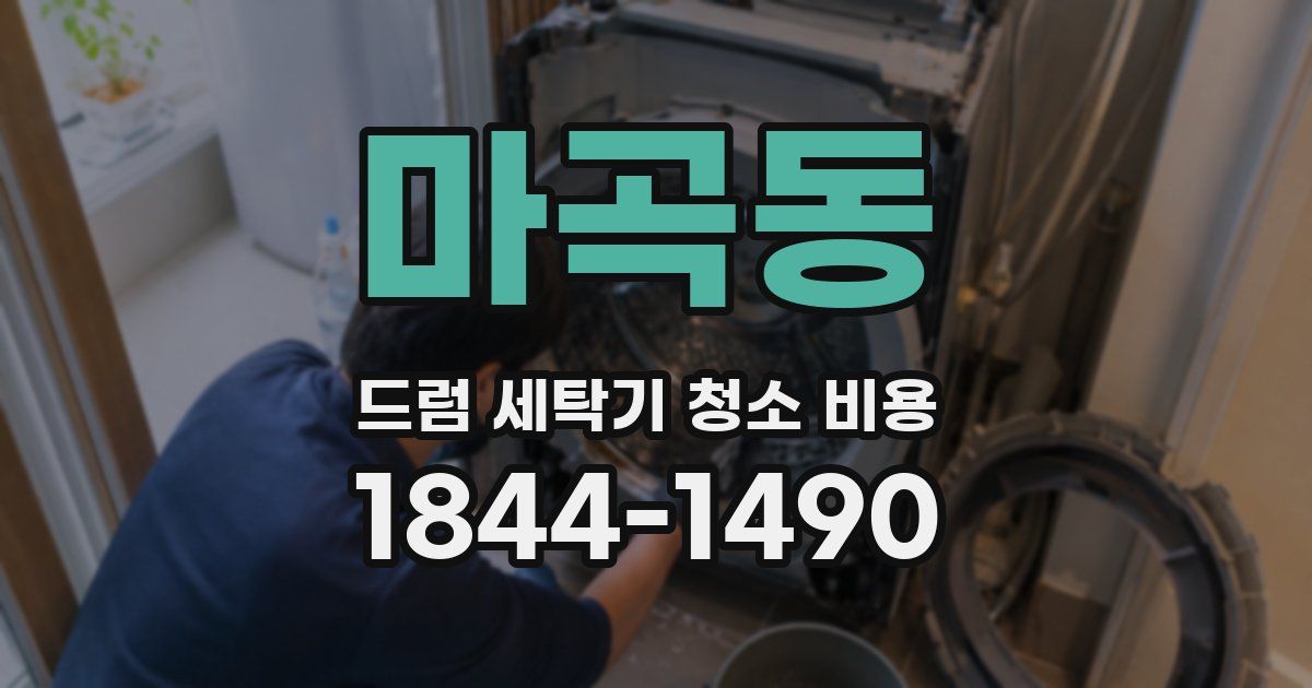 마곡동 드럼 세탁기 청소 비용