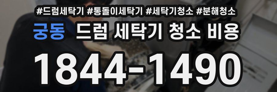 궁동 드럼 세탁기 청소 비용
