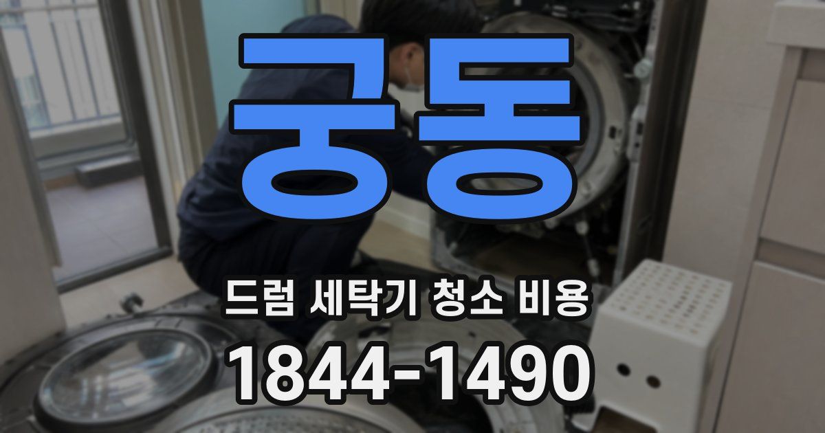 궁동 드럼 세탁기 청소 비용