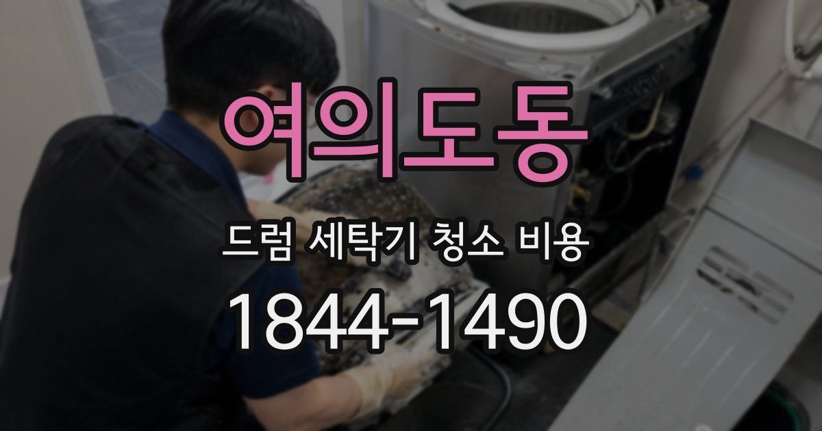 여의도동 드럼 세탁기 청소 비용