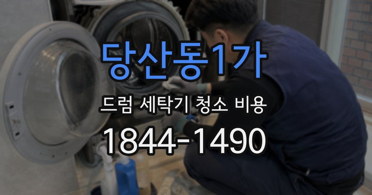 당산동1가 드럼 세탁기 청소 비용