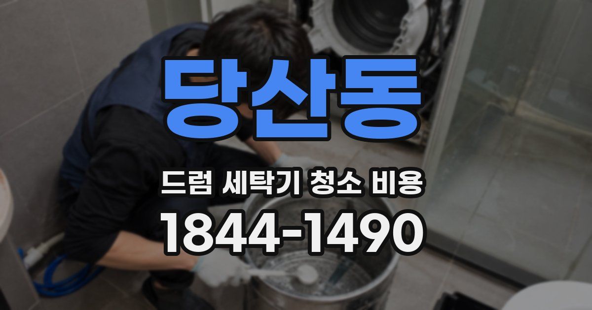 당산동 드럼 세탁기 청소 비용
