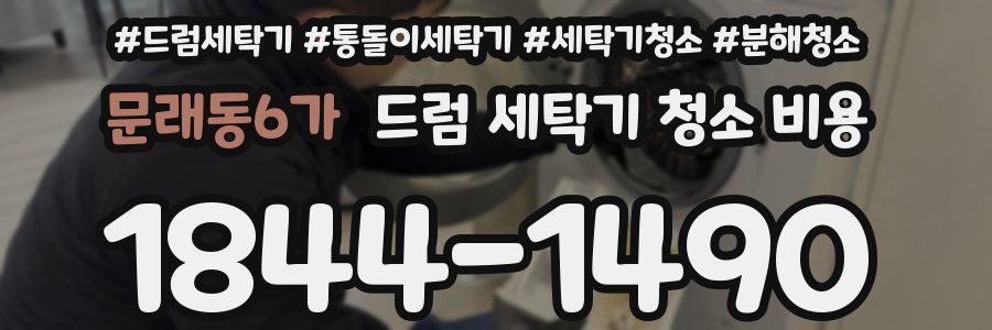 문래동6가 드럼 세탁기 청소 비용