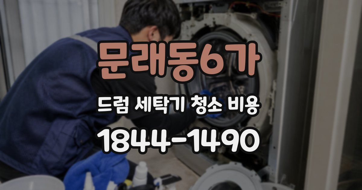 문래동6가 드럼 세탁기 청소 비용