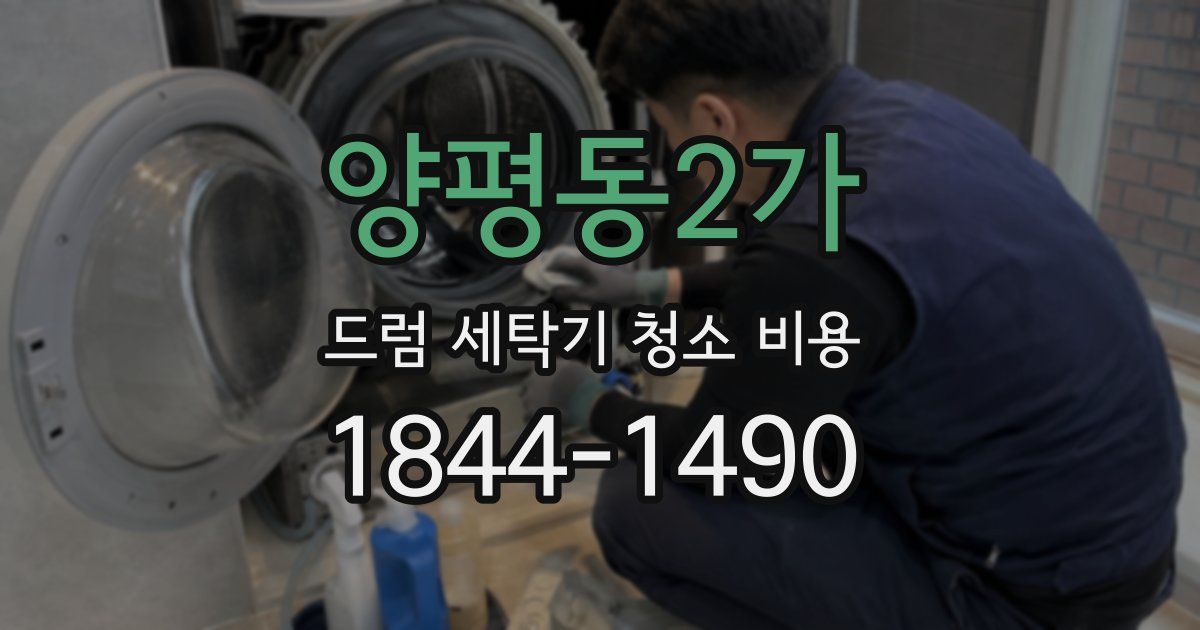 양평동2가 드럼 세탁기 청소 비용