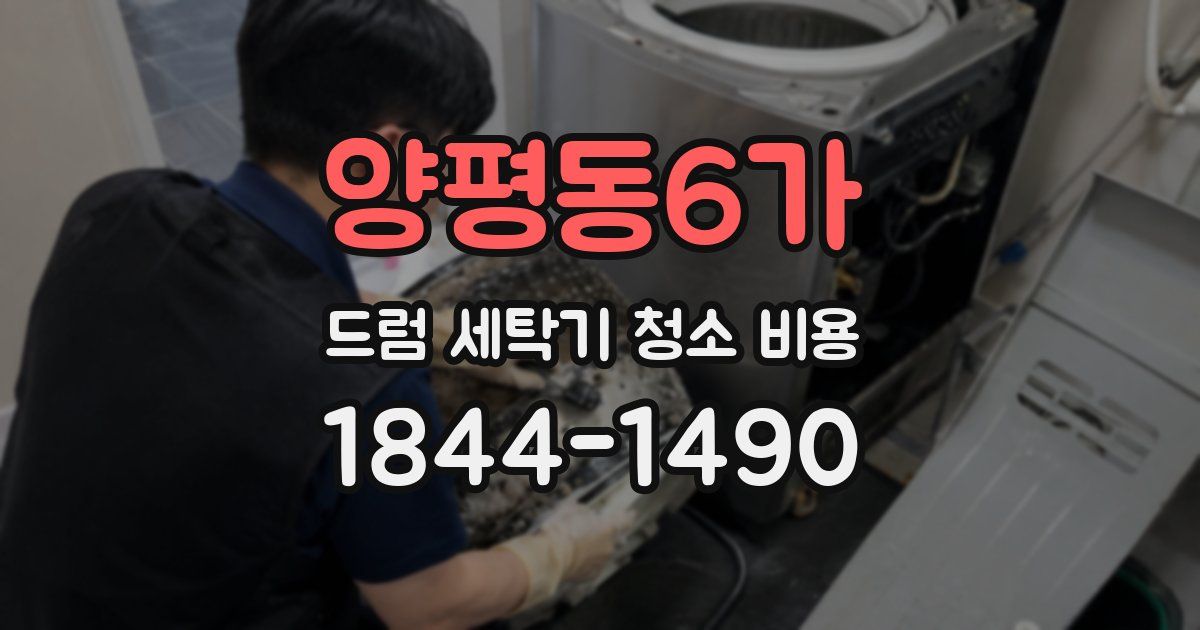 양평동6가 드럼 세탁기 청소 비용