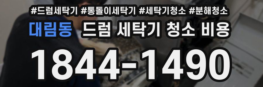 대림동 드럼 세탁기 청소 비용