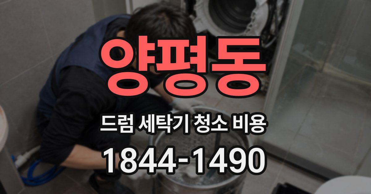 양평동 드럼 세탁기 청소 비용