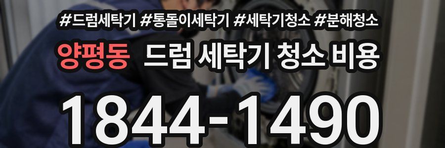 양평동 드럼 세탁기 청소 비용