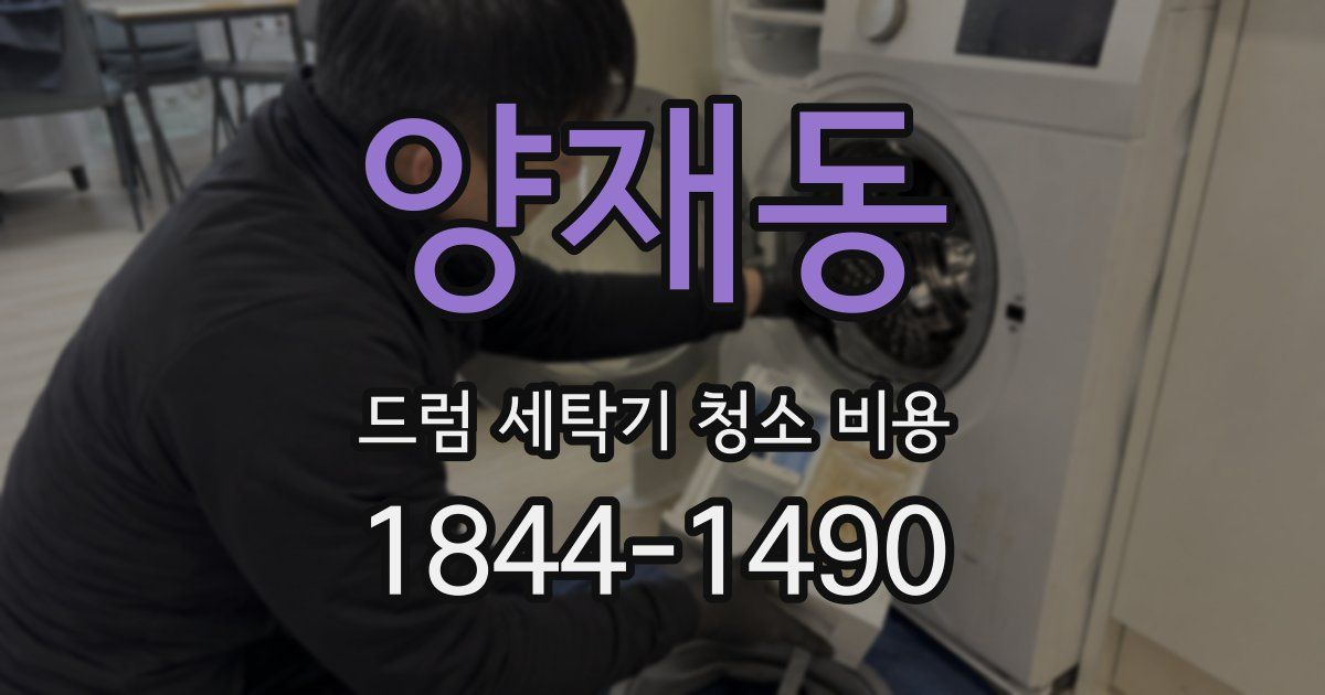 양재동 드럼 세탁기 청소 비용
