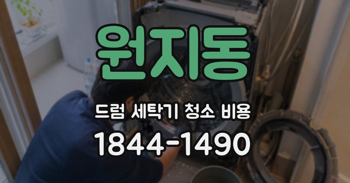 원지동 드럼 세탁기 청소 비용