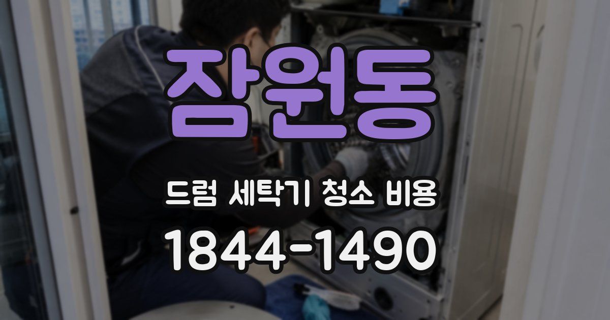 잠원동 드럼 세탁기 청소 비용