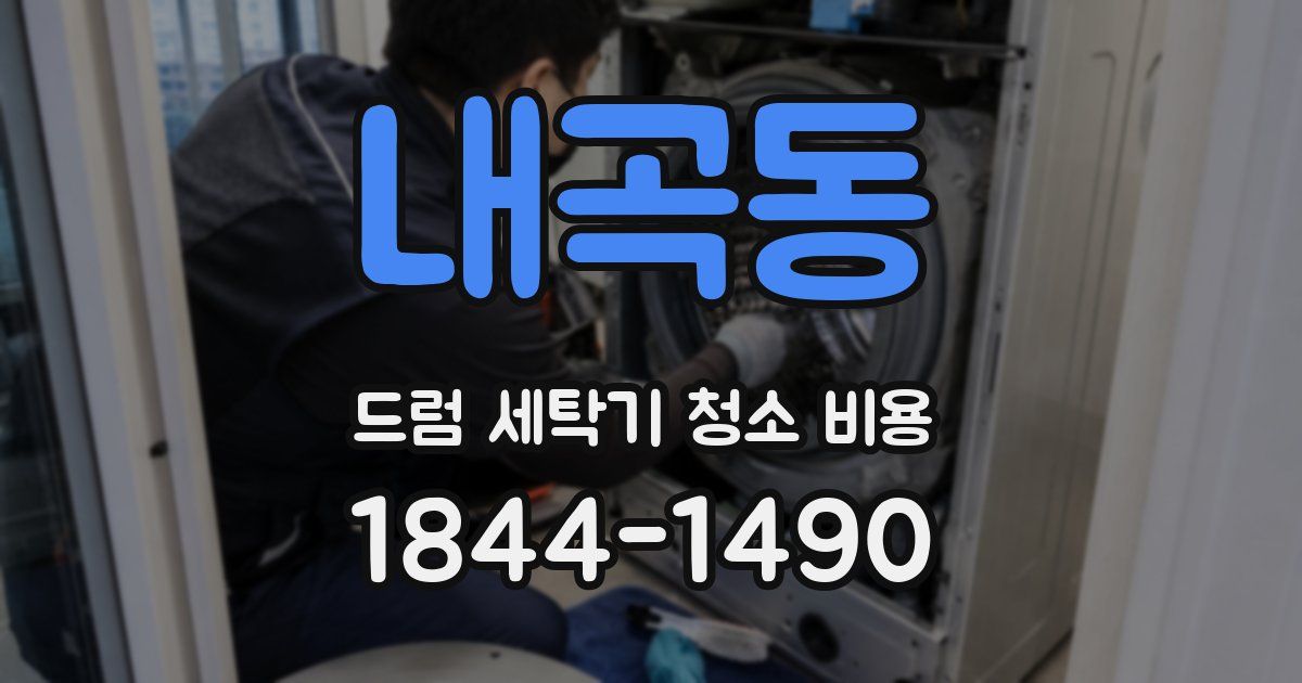내곡동 드럼 세탁기 청소 비용