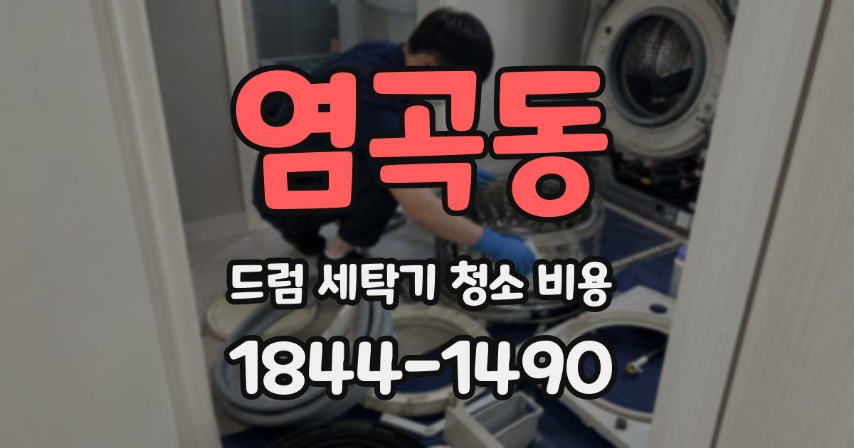 염곡동 드럼 세탁기 청소 비용