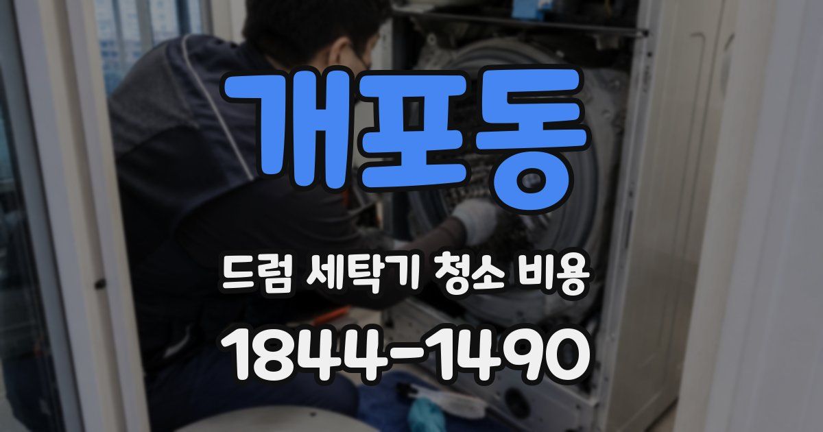 개포동 드럼 세탁기 청소 비용