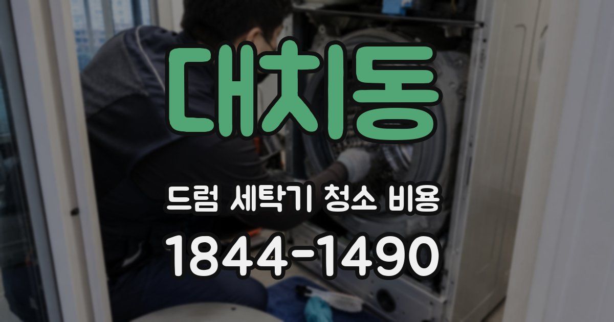 대치동 드럼 세탁기 청소 비용