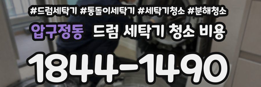 압구정동 드럼 세탁기 청소 비용