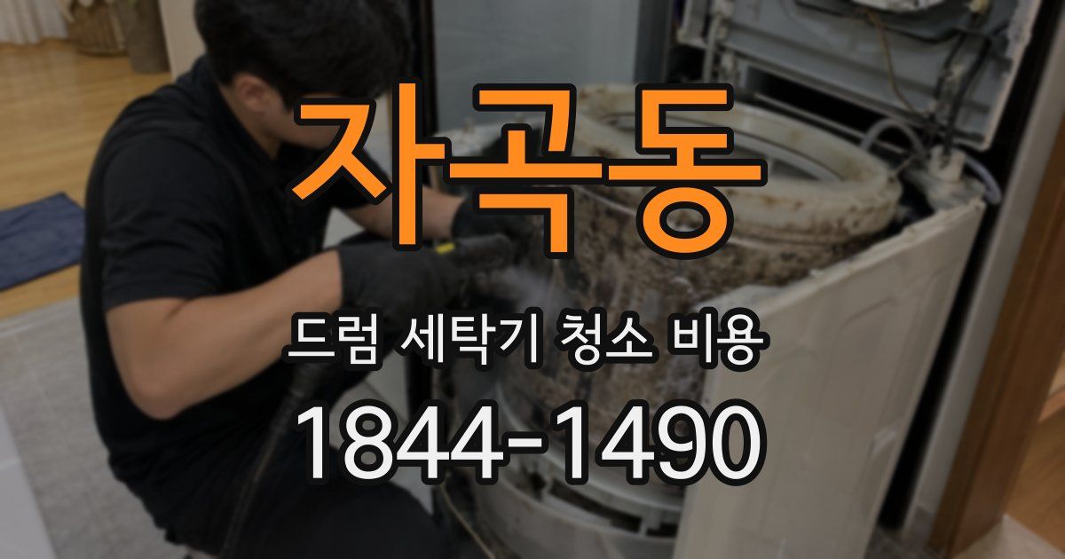 자곡동 드럼 세탁기 청소 비용