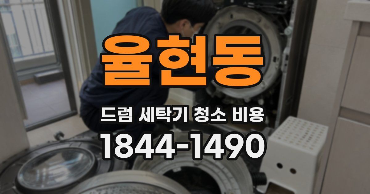 율현동 드럼 세탁기 청소 비용