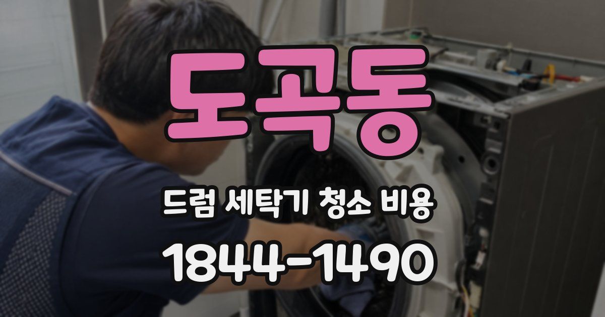 도곡동 드럼 세탁기 청소 비용