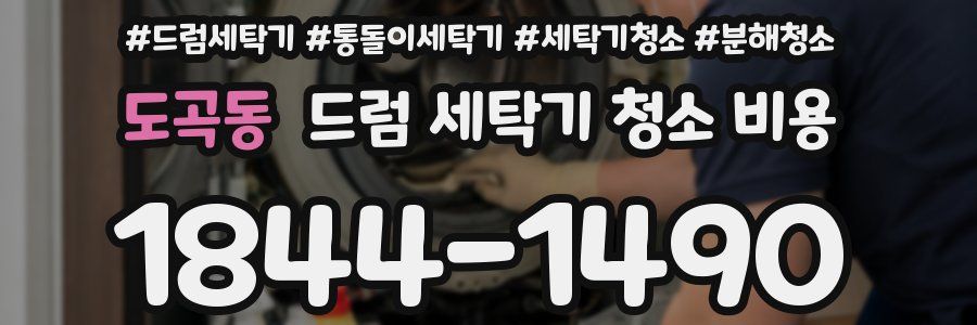 도곡동 드럼 세탁기 청소 비용