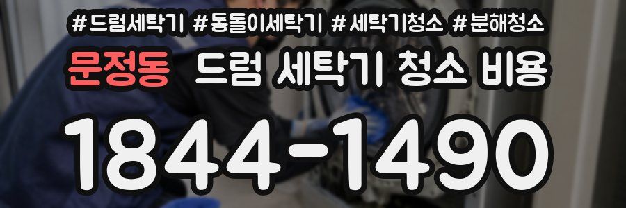문정동 드럼 세탁기 청소 비용