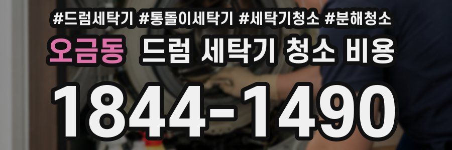 오금동 드럼 세탁기 청소 비용