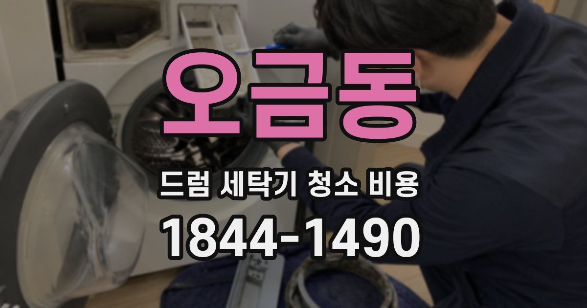 오금동 드럼 세탁기 청소 비용