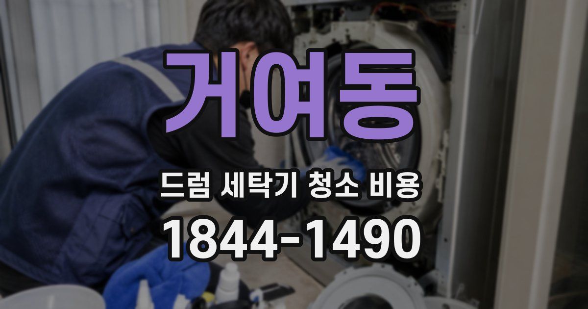 거여동 드럼 세탁기 청소 비용