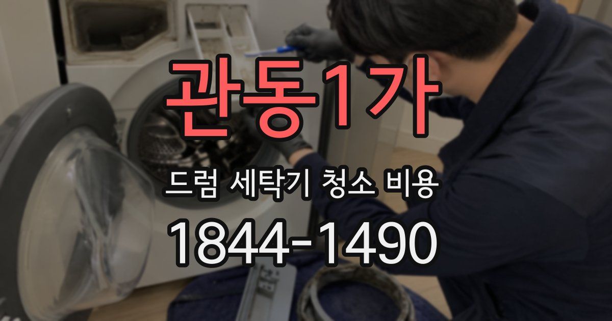 관동1가 드럼 세탁기 청소 비용