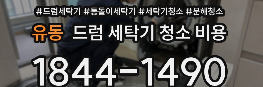 유동 드럼 세탁기 청소 비용