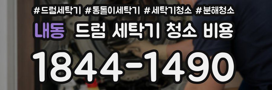 내동 드럼 세탁기 청소 비용