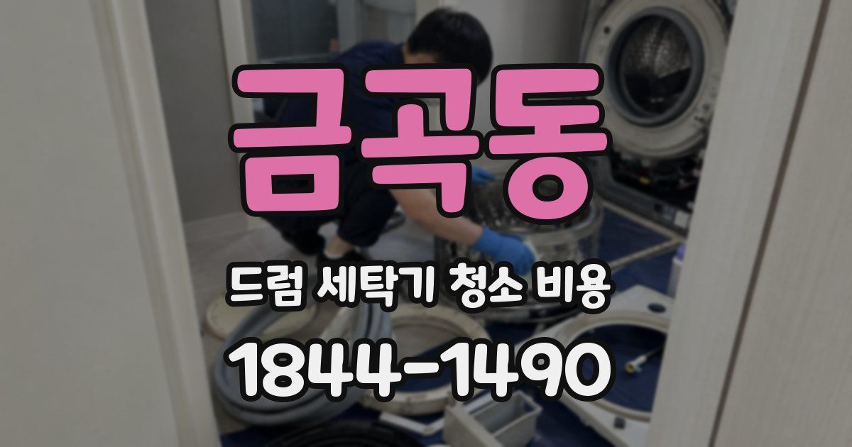 금곡동 드럼 세탁기 청소 비용