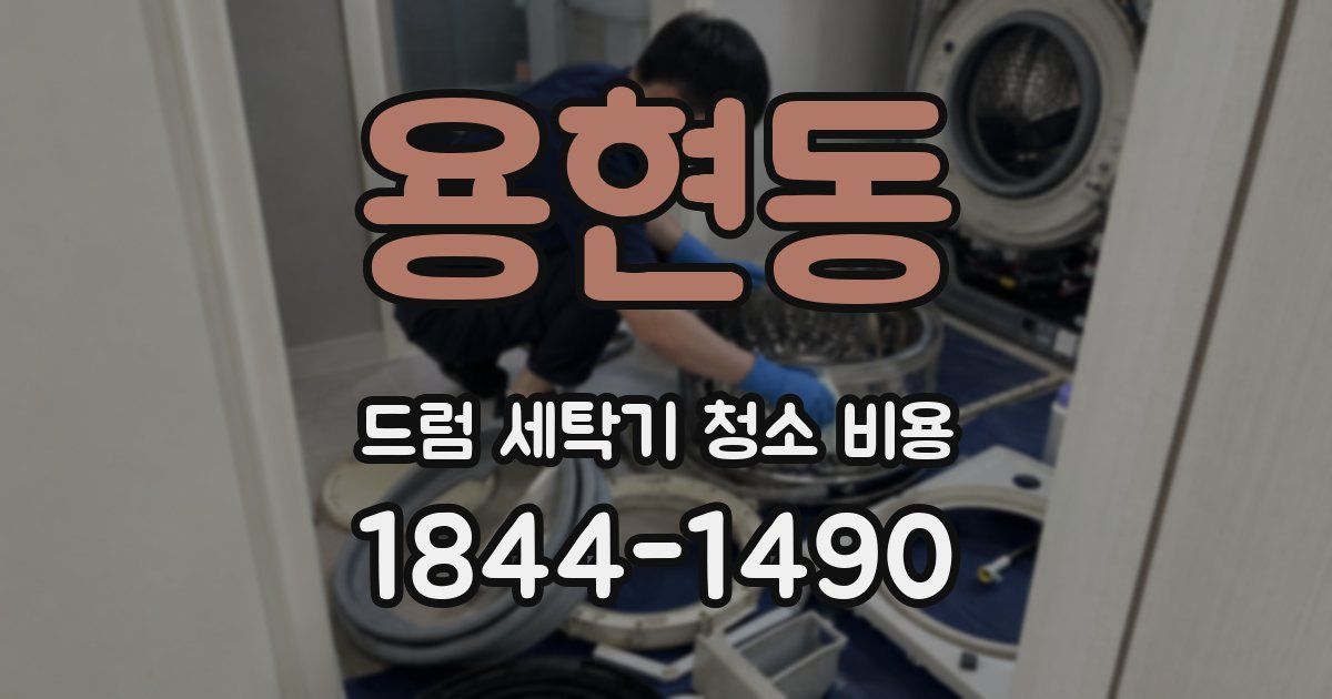 용현동 드럼 세탁기 청소 비용