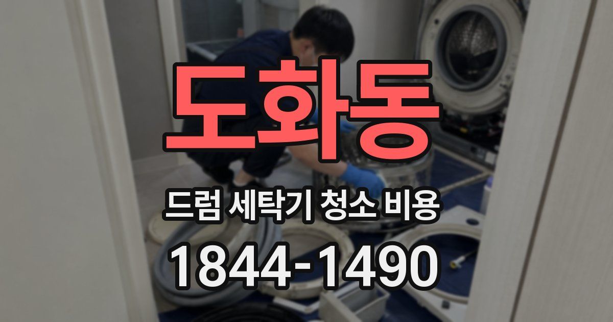 도화동 드럼 세탁기 청소 비용