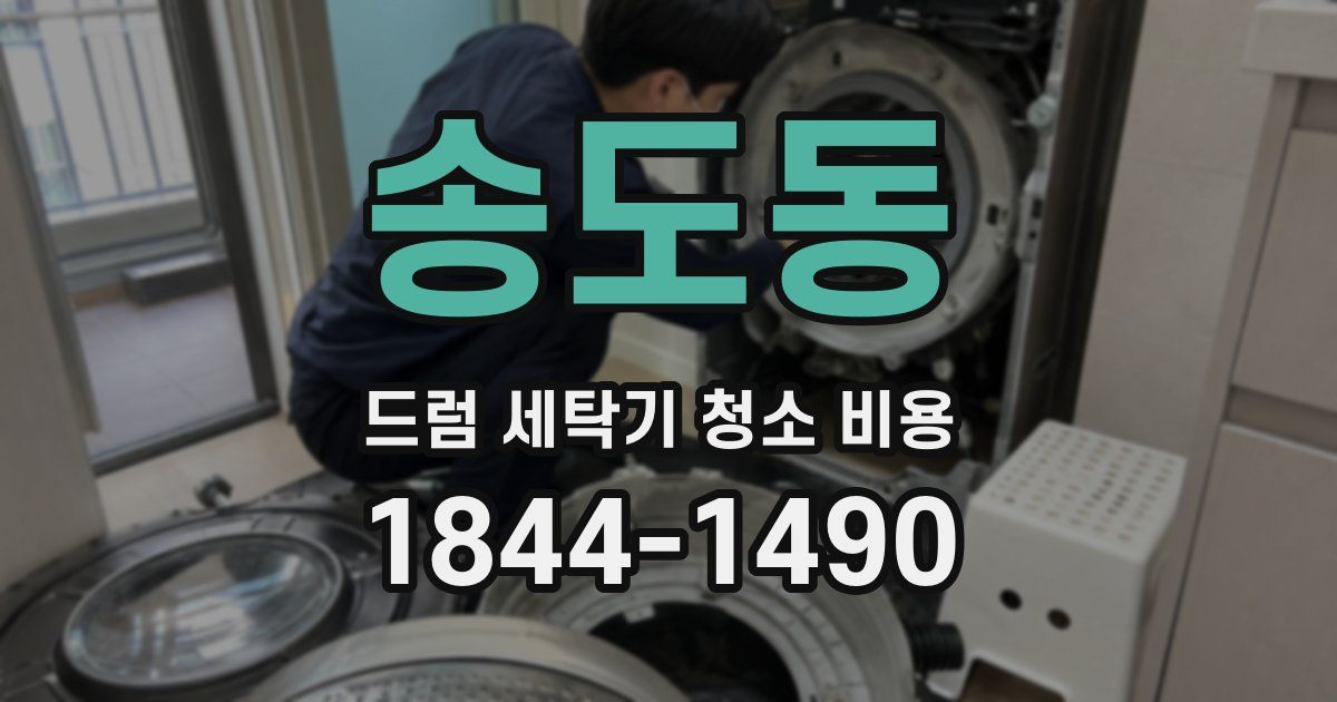 송도동 드럼 세탁기 청소 비용