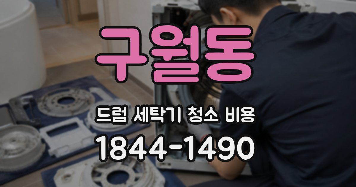 구월동 드럼 세탁기 청소 비용