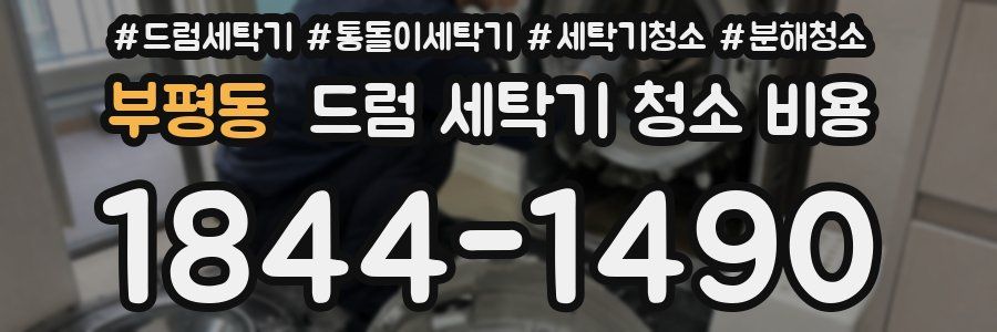 부평동 드럼 세탁기 청소 비용
