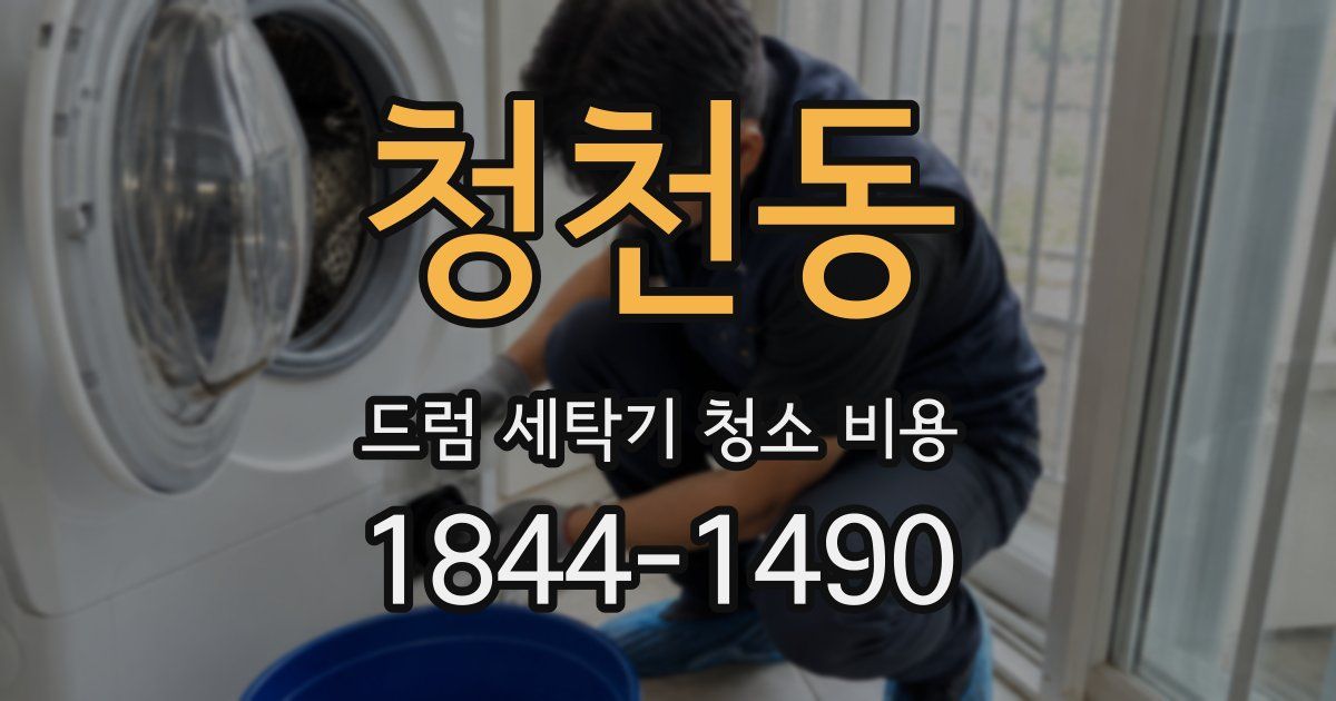 청천동 드럼 세탁기 청소 비용