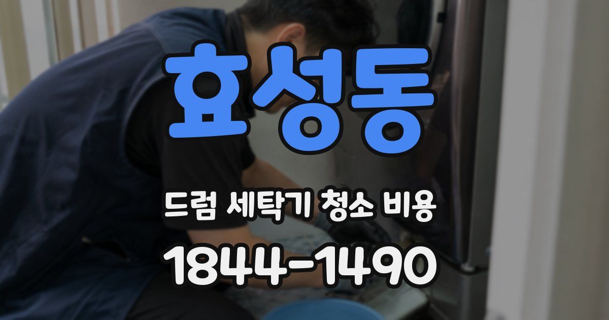 효성동 드럼 세탁기 청소 비용