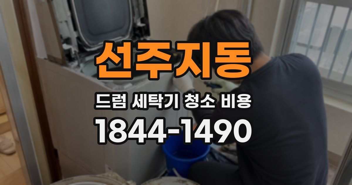 선주지동 드럼 세탁기 청소 비용